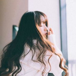 m6米乐网页版登录入口下载手机版